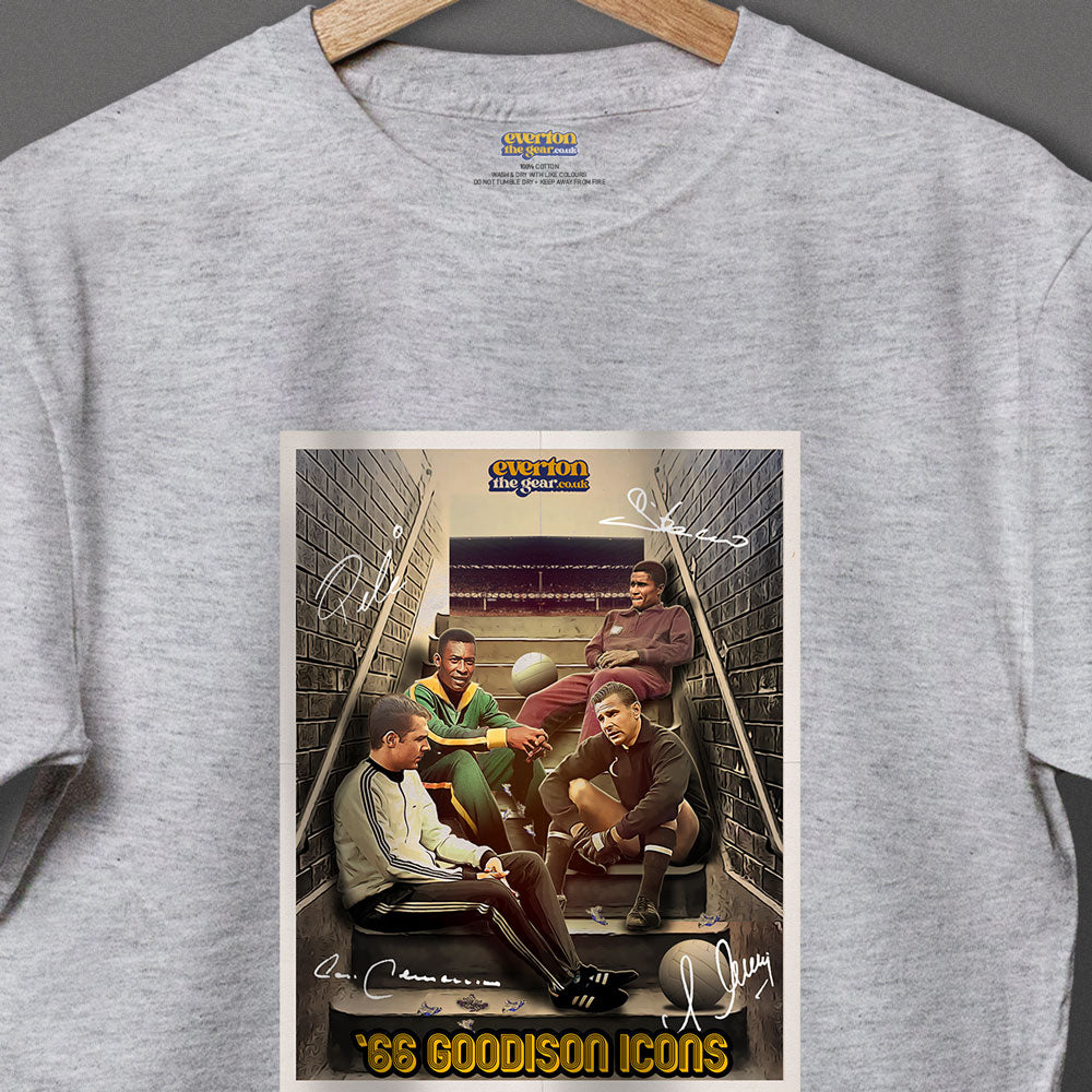 66 Goodison Icons - XXXXL, Grey image