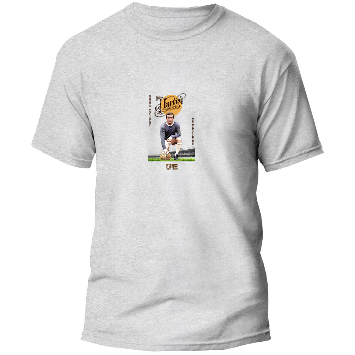 Colin Harvey image 3