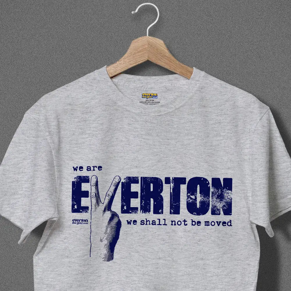 We Are Everton - XL, grey image