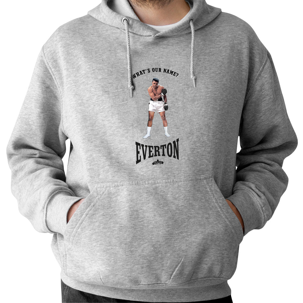 Ali Everton - Hoodie - Grey, XXXXXL image