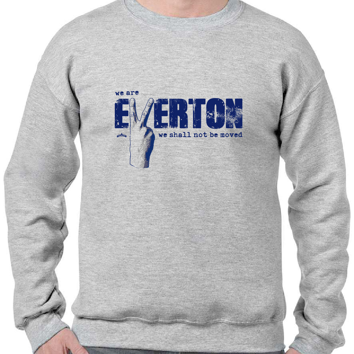 We Are Everton - Sweatshirt - XXXXL, GREY image