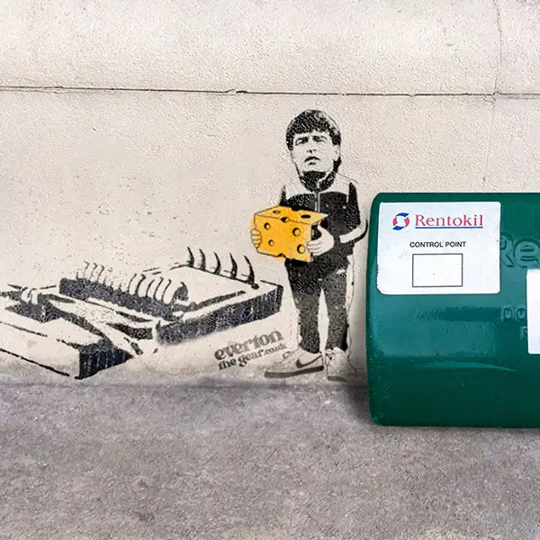 Instagram Image